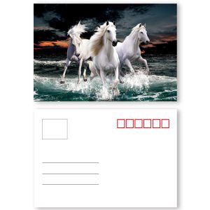 Full Color 0.6 MM PET Lenticular 3d Poster Card With Pearlised Film