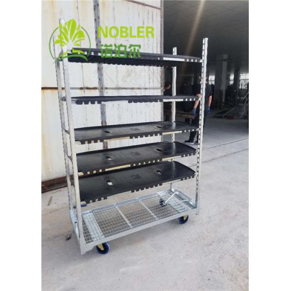 Buy Plywood Dutch Flower Trolley Flower Frame Truck 1350*565*1900mm at wholesale prices