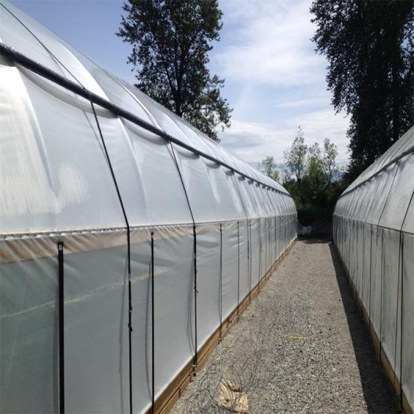 Single Span Tunnel Blackout System Hydroponic Light Deprivation Greenhouse