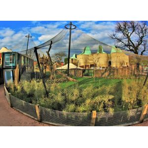 China Security Garden Fence Steel Cable Mesh Stainless 304 316 on sale