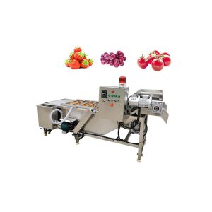 Lifting 380V 3.75KW 500kg/H Vegetable Washing Machine
