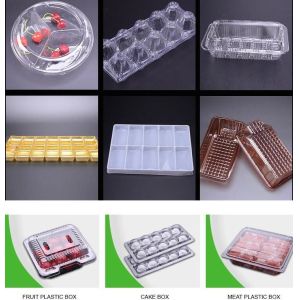 Hot Selling Plastic PET Sandwich Containers Cake Bread Container Plastic