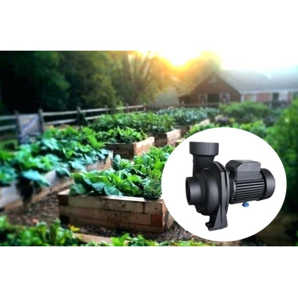 centrifugal water pump NFM