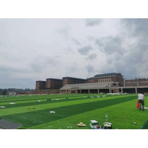 Advanced Weaving Technique Synthetic Grass Field With Disease Resistant Yarn