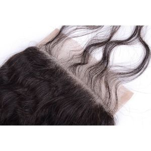 Top Grade Human Hair Extension Lace Closure 4x4 Any Parting Indian Water Wave