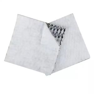 Industrial Design Style Composite Drainage Geonet for Tunnel Construction