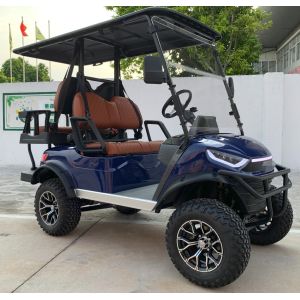 Equipped with Electromagnetic Parking System Private Mold Electric Lifted Golf