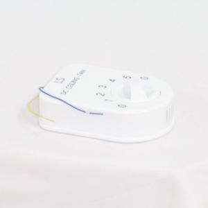 Household 12V Dc Remote Control Blade Ceiling Fan With Adapter