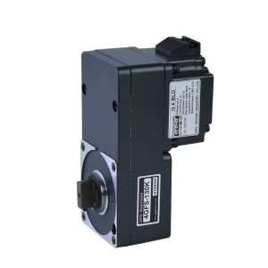 Compact Design Custom Gear Motor