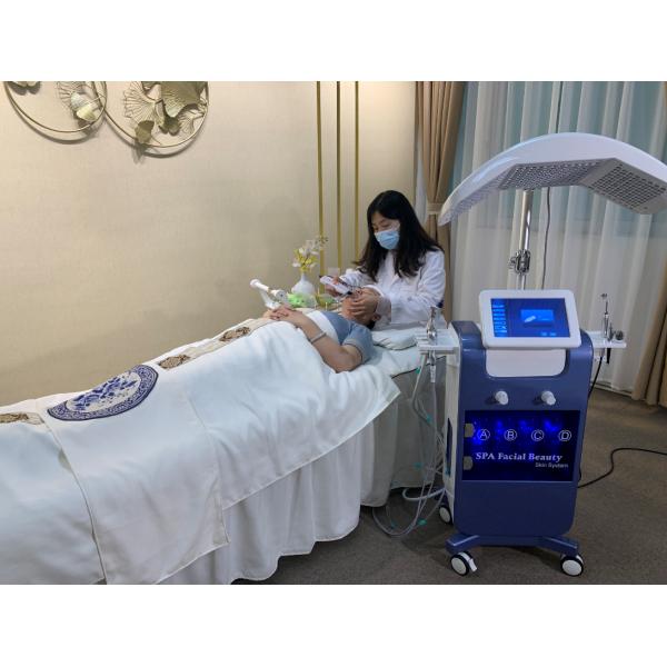 Hot Selling 8 Head Facial Beauty Machines Professional Portable Oxygen Facial Machine