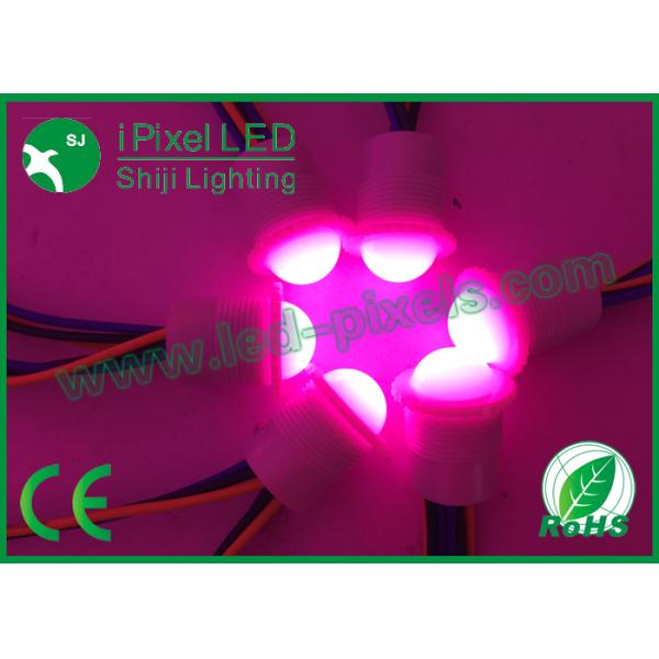 17mm Led RGB Pixel Light IP68 SK6812 Changeable LED Point Light