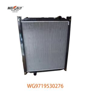 Original WG9719530276 Radiator Assembly WG9725530270 Fit For HOWO Truck