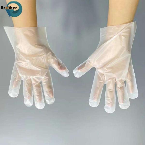 100% Biodegradable Transparent Disposable Waterproof Household Compostable