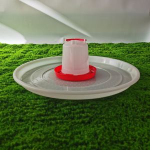 Easy Cleaning Poultry Feeding Tray Standard Capacity Bird Breeding Tool