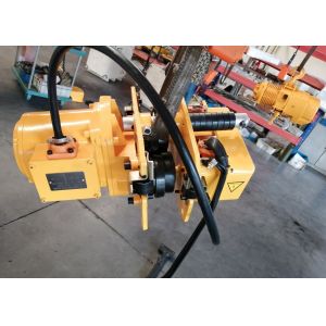 3 Phase 1 Ton Eletric Chain Hoist With FEC Chain Schneider Contactor