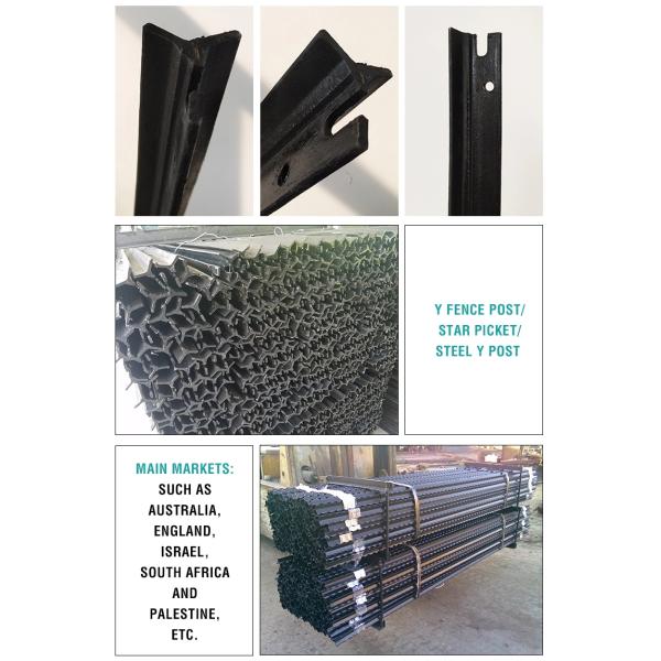 Black Painted Or Hot Dipped Galvanised Star Pickets Y Steel Fence Posts