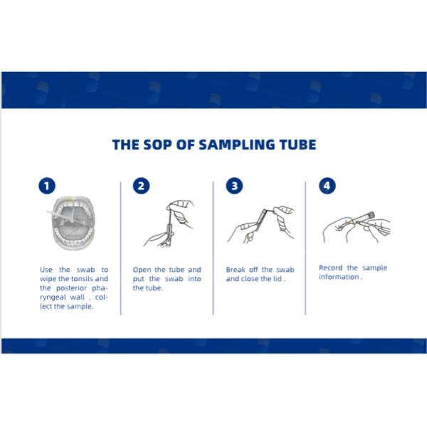 Covid-19 virus sampling tube,nasopharyngeal swab nasal swab vtm disposable virus sampling tube kits