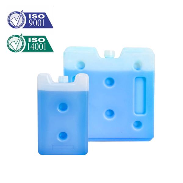 Buy Factory Hot Sale Customize Reusable hard Shell Gel Ice Pack Ice Brick For Cooling Storage at wholesale prices