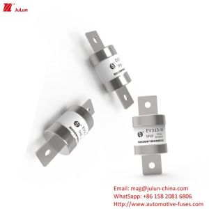 Quality EV Fusing Bolt On Automobile And Electrical Fuse Adapters DC500V for sale