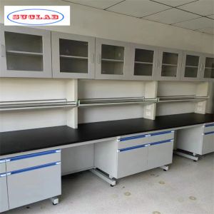 Maximize Efficiency with Lab Wall Benches With Storage Cbianet in Export