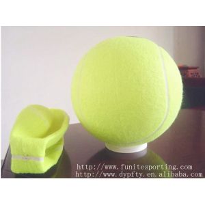 Inflatable toy ball