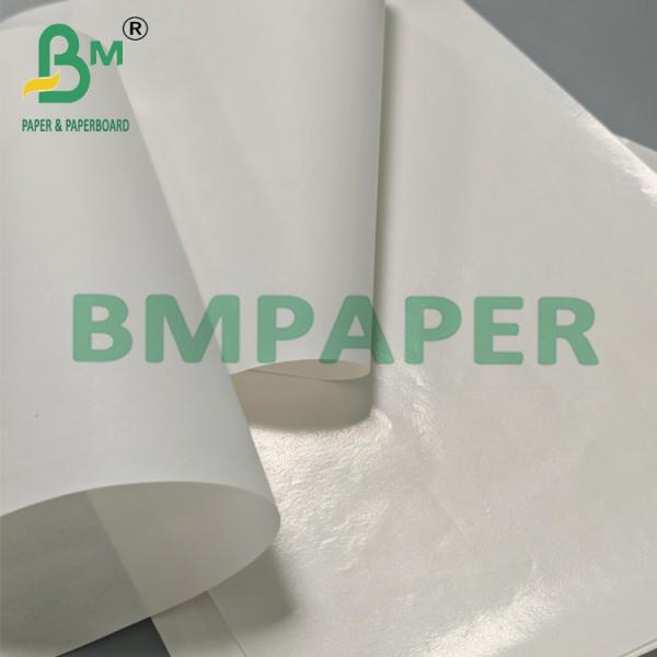 35-70gsm Waterproof PE Coated White Kraft Paper 500x700mm for Food Box Packing