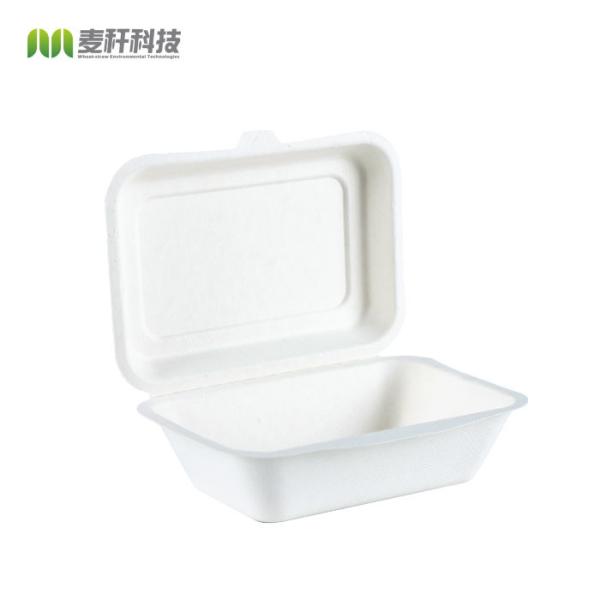 Heavy Duty 100% Natural Sugarcane Biodegradable Compostable Bagasse, Eco
