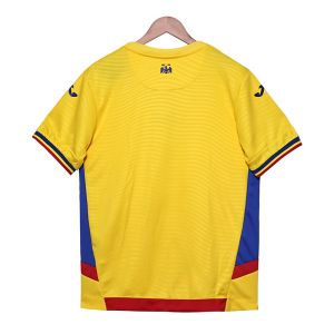 Romania 2025-2026 Home Fan Edition Football Jersey Group Customization
