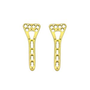 Medical Orthopedic Multi-Axial Distal Radius Medial Locking Plate