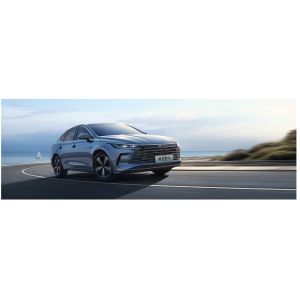 BYD Destroyer 05 DMI 120km Luxury Edition 1.5L Displacement