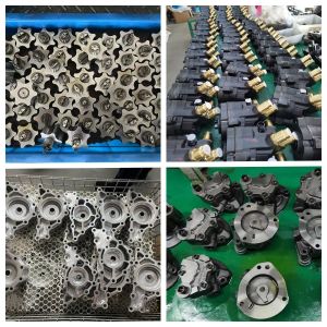 Taizhou Lanqing Oil Pump Co.,Ltd