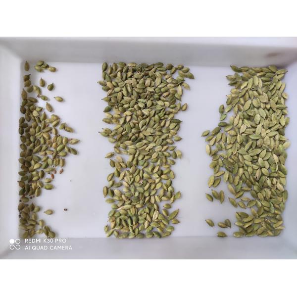 Multi Purpose Grain Color Sorter For Spices Cardamom Shape Sorting