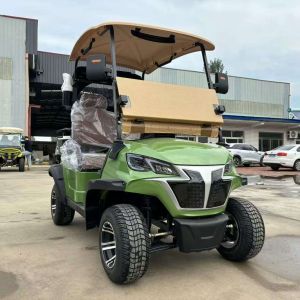 China EPS Power Steering Electric Golf Buggy IP65 Waterproof Long Battery Life on sale