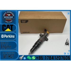 Excavator Parts CAT 325D 329D 330D 336D C7 C9 Engine Common Rail Fuel Injector
