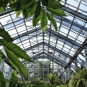 Hydroponic Glass Greenhouse for Flower Cultivation 30-Day Return Refunds a Type