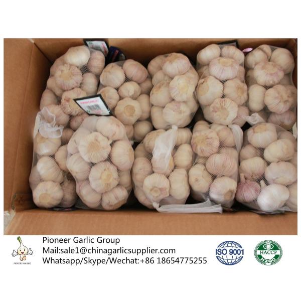 Buy 2018 China fresh garlic export to Brazil at wholesale prices