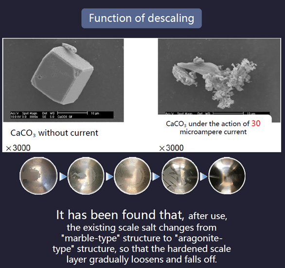 Physical Water Descaler For Home Use Eliminates Scale And Protects Plumbing Without Chemicals