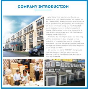 Gas Station Professional Fuel Processing Custom Dispenser BJJ-20-SUMAN