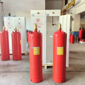 Automatic Fire Suppression System Environment-friendly FM200 Fire Suppression
