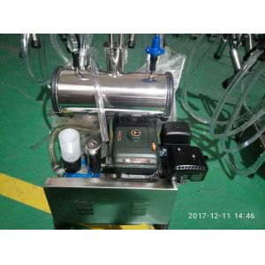HL-JN08 Cow Portable Petrol Milking Machine with 25L Double Bucket