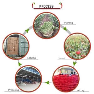 Neihuang Xinglong Agricultural Products Co. Ltd