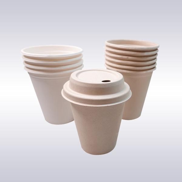 Buy Multiscene Biodegradable Coffee Cups at wholesale prices