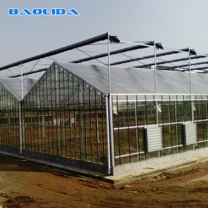Multi Span Venlo Glass Greenhouse 140mm/H Capacity ISO9001 Certificated