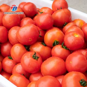 2.5KW Rhizome large parallel roller cleaning machine tomato potato sweet potato