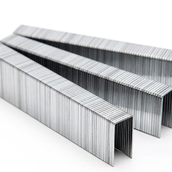 Competitive U-Type Nail Air Staples 1013j for Furniture Decoration in High