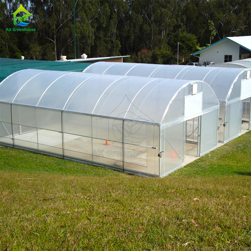 Cheap Agricultural Green House Commercial Greenhouse Intelligent Single-Span