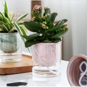 Creative Home Automatic Water Absorption Vase