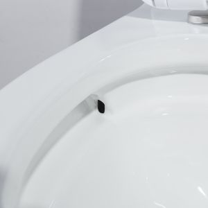 28" 1.28 Gpf Dual Flush One Piece Toilet 10 Inch Rough In American Standard