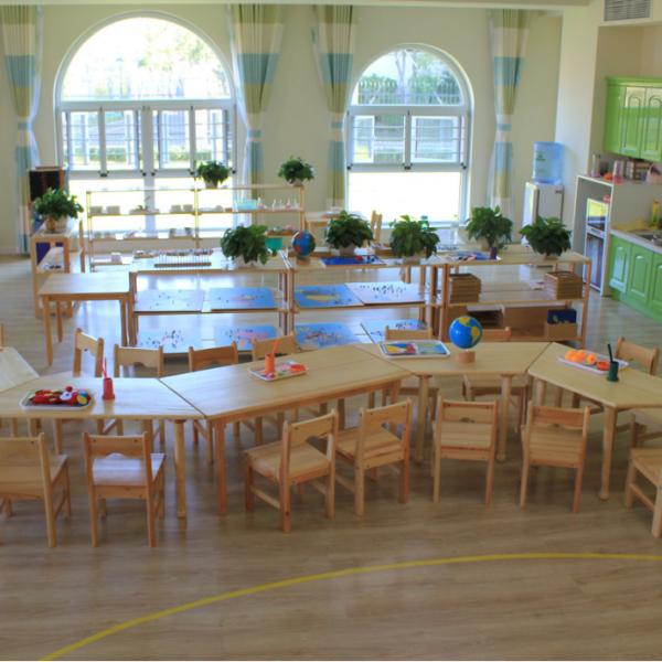 Wooden educational professional Montessori Materials Large Movable Alphabet (Red & Blue) for kids