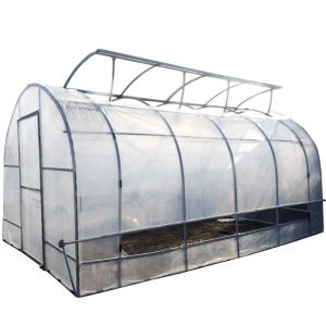 China Roof Ventilation Tunnel Plastic Greenhouse With Cooling System on sale